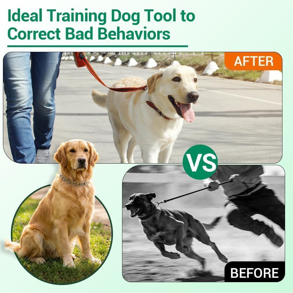 No Pull Prong Dog Collar,Adjustable Dog Pinch Training Chain Collar