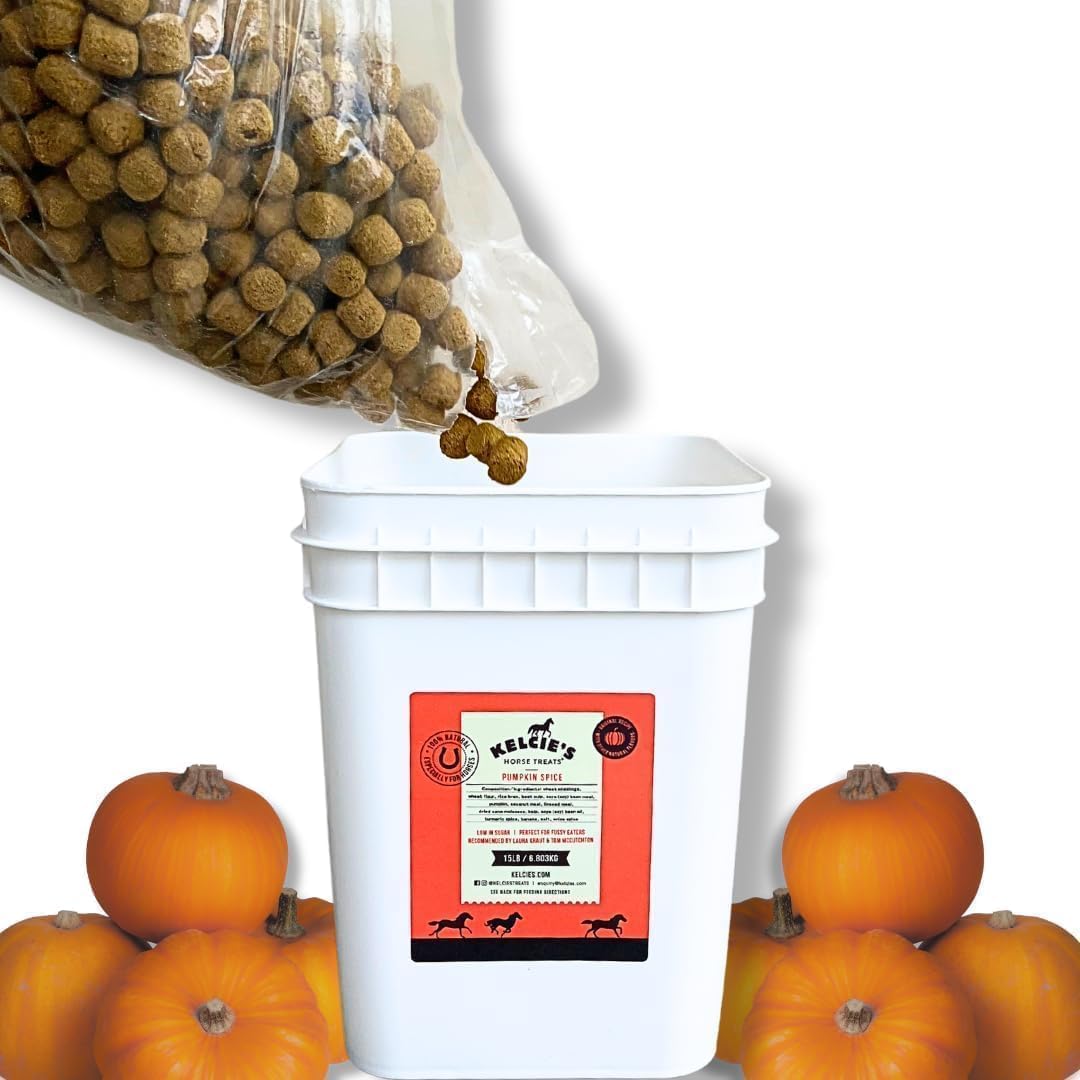 Kelcies Pumpkin Spice Horses Treats - Low Sugar, Starch