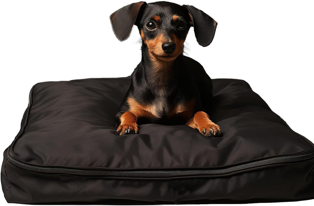 Dog Bed Covers 36L × 27W × 3H Inch Washable Grey Thickened Waterproof