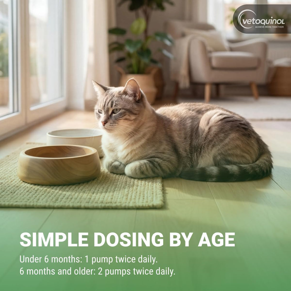 Vetoquinol Enisyl-F Oral Paste: L-Lysine Supplement for Cats