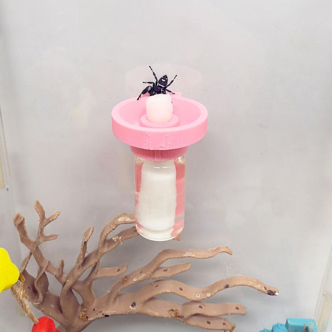 Jumping Spider Water Dispenser