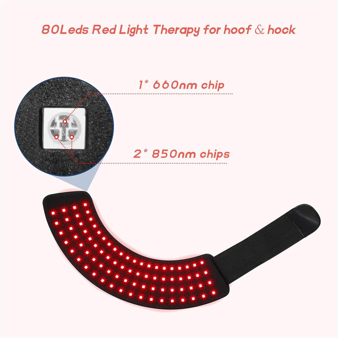 Red Light Therapy for Horses Hoof