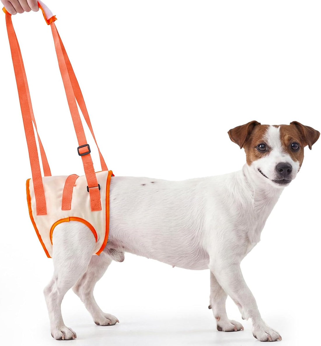 Allroaring Dog Lift Harness with Soft Pads, Orange, S