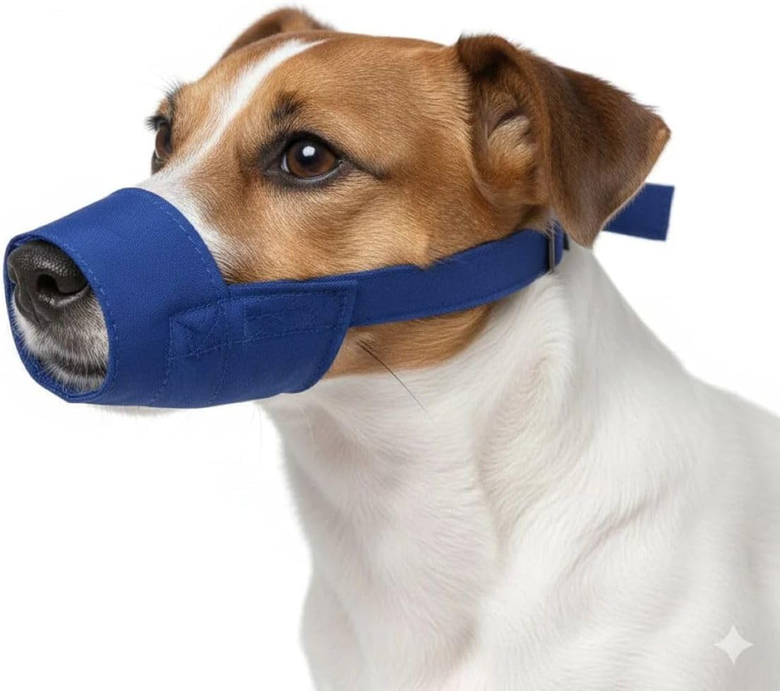 Four Flags Quick Muzzle