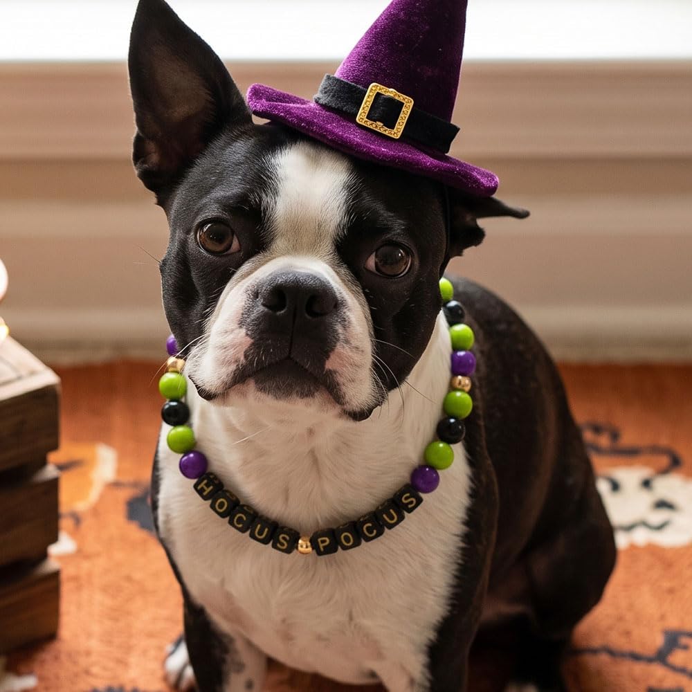 Halloween Beaded Pet Necklace Collar Dog Cat Holiday Costume Collar