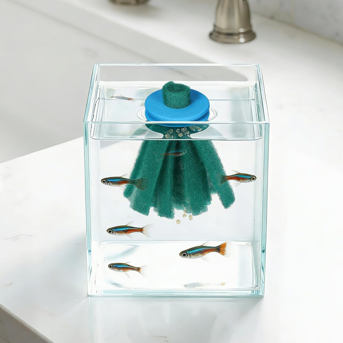 Homoyoyo10Pcs Fish Egg Collector Spawning Mop