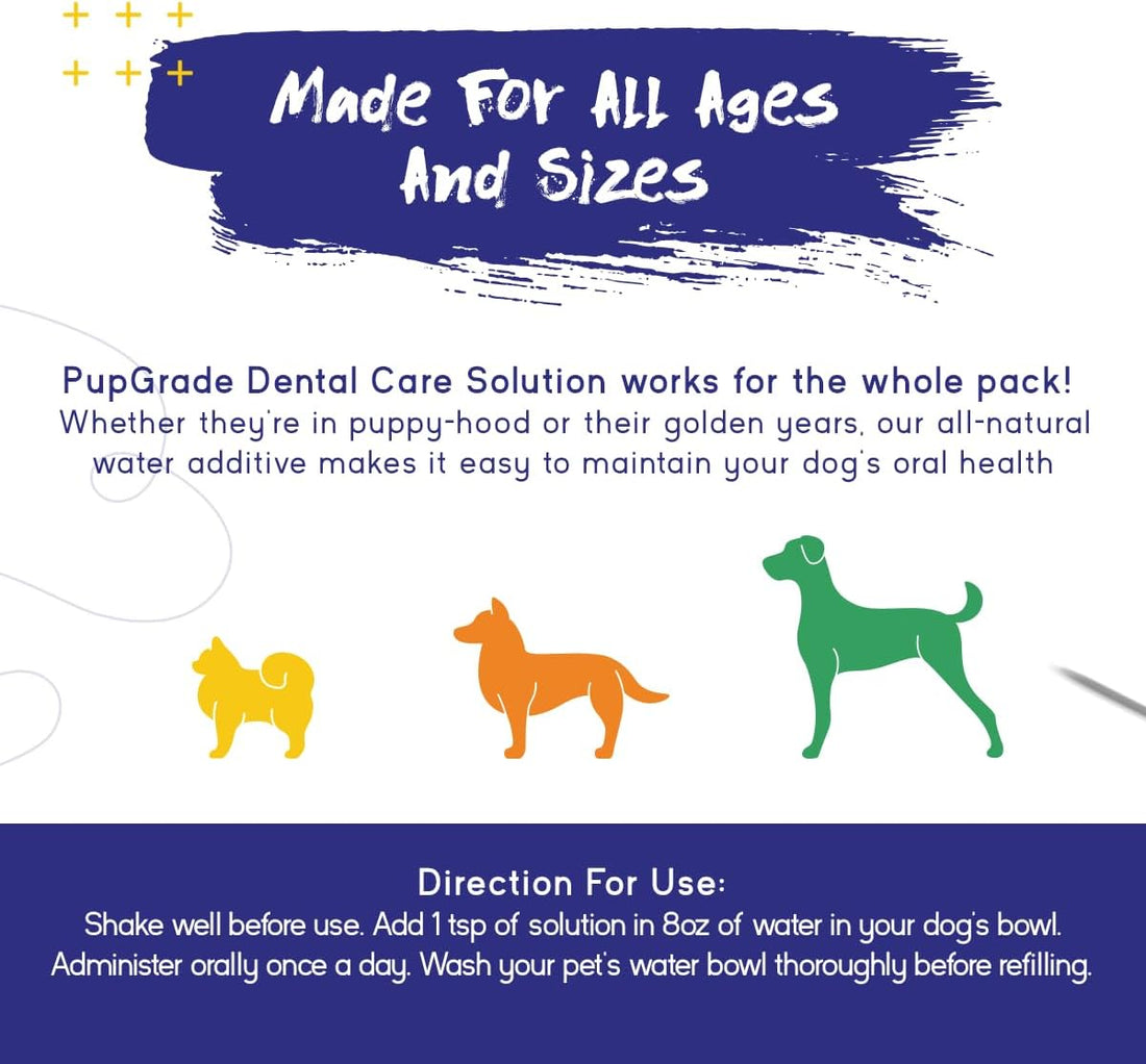 PupGrade Dental Care Water Additive Solution - 8 fl oz