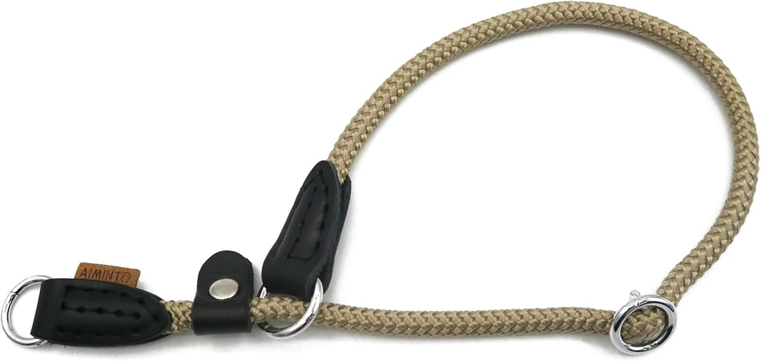 Braided Round Martingale Dog Collar