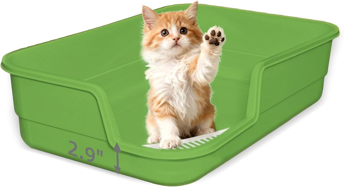 Extra Large Litter Box with Low Entry,Jumbo Cat Litter Box for Kitty