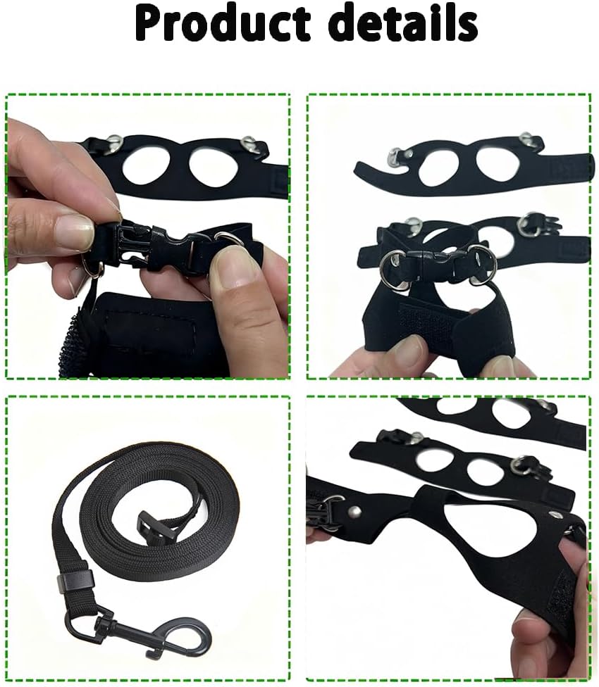 3 Pack Bearded Dragon Harness and Leash Set