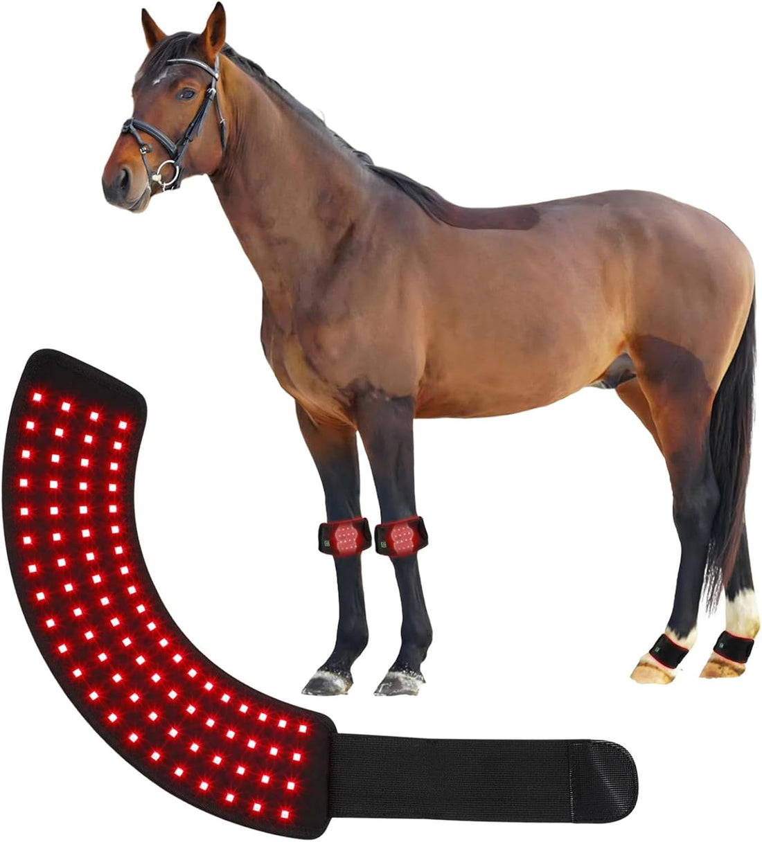 Red Light Therapy for Horses Hoof