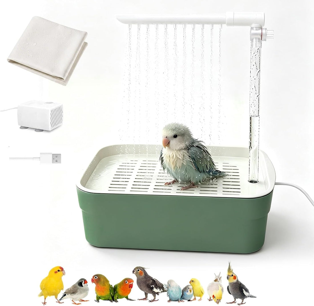 Parrot Bathtub Indoor Automatic Bath Shower,Bird Bath with Pump(small)
