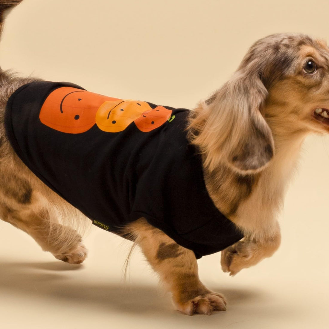 Fitwarm Thanksgiving Triple Pumpkins Dog Shirt