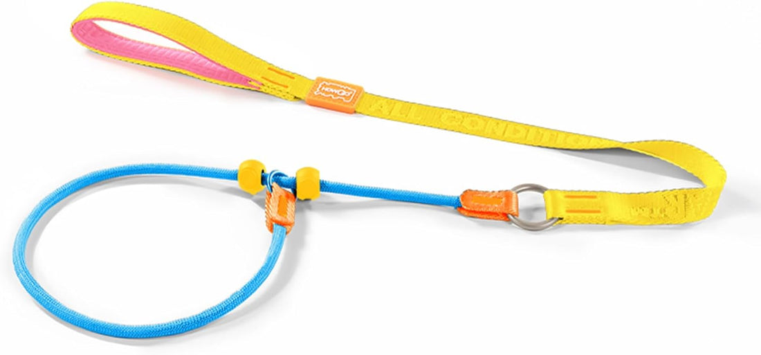 HowGo Slip Lead Dog Leash, 360°Swivel Anti-Tangle