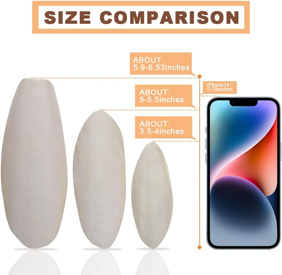 5.9"-6.53" Large Bird Cuttlebone for Parakeets