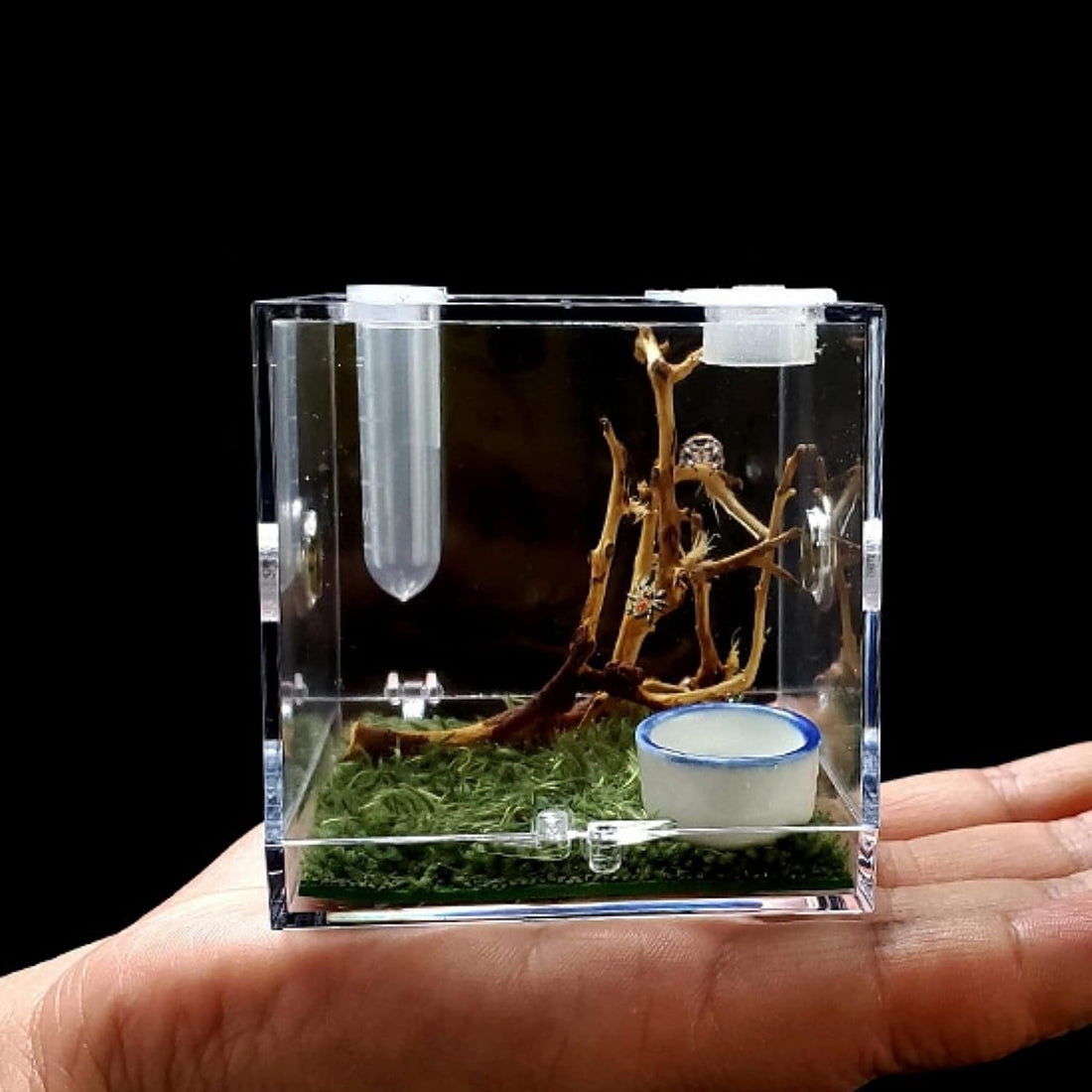 AWXZOM Spider Terrarium, Acrylic Reptile Breeding Box Jumping Spider
