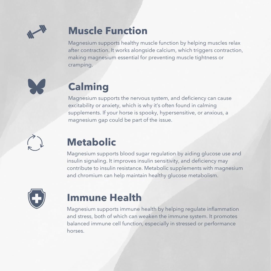 Magnesium 5000 Calming/Metabolism/Muscle Function Support for Horses