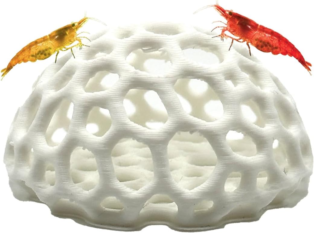 CTWPets Shrimp Dome Hide, Aquarium Cave for Cherry Shrimp
