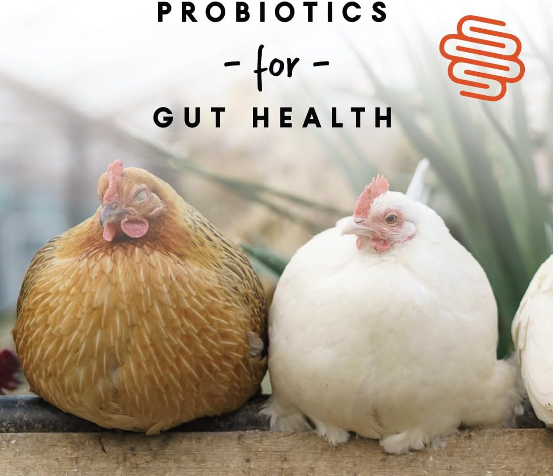 Manna Pro Layer Crumbles Chicken Feed, 16% Protein, Digestive Aid