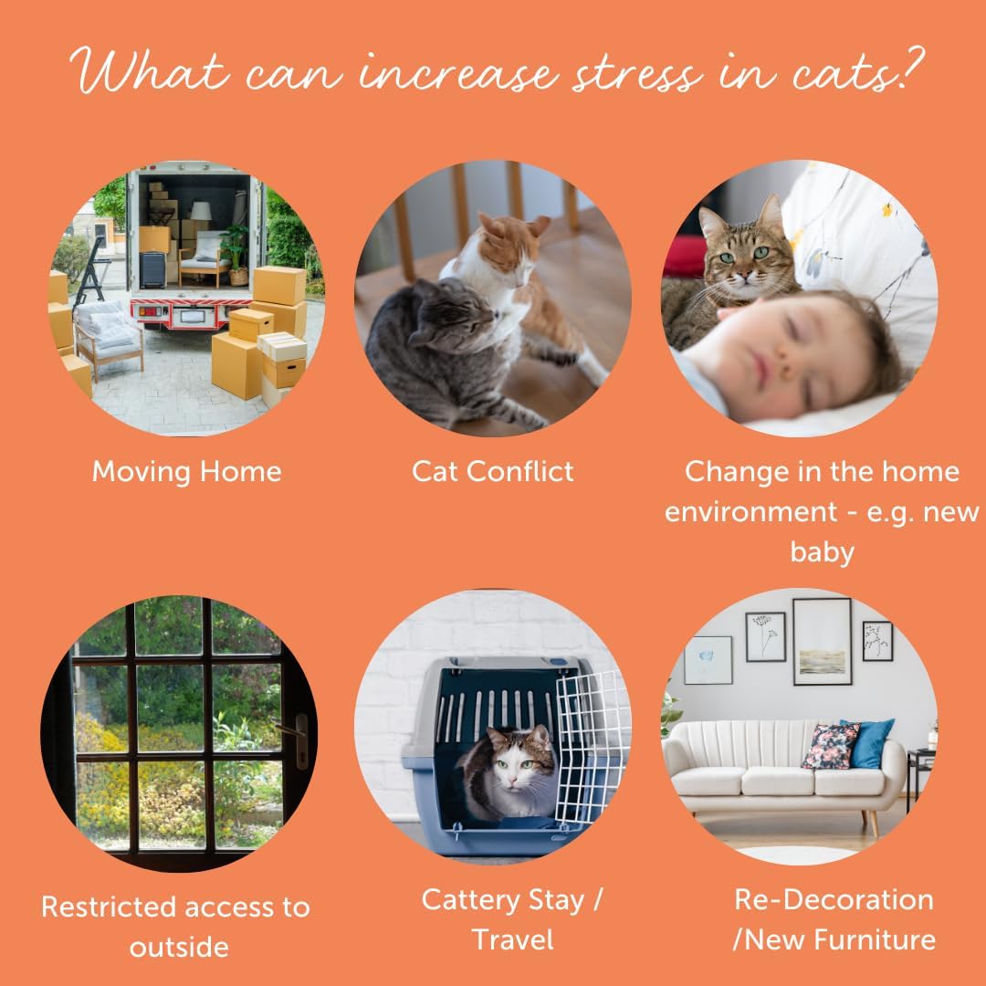FELIWAY Cystease Advanced Urinary Tract Support for Cats