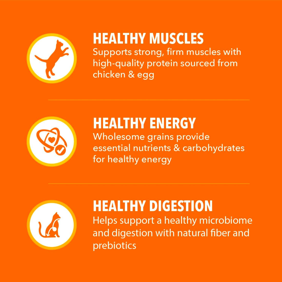 IAMS Proactive Health Dry Cat Food