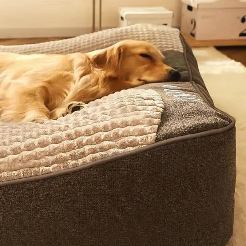 MRFLUFFYFRIEND™ Calming Dog Cushion Bed