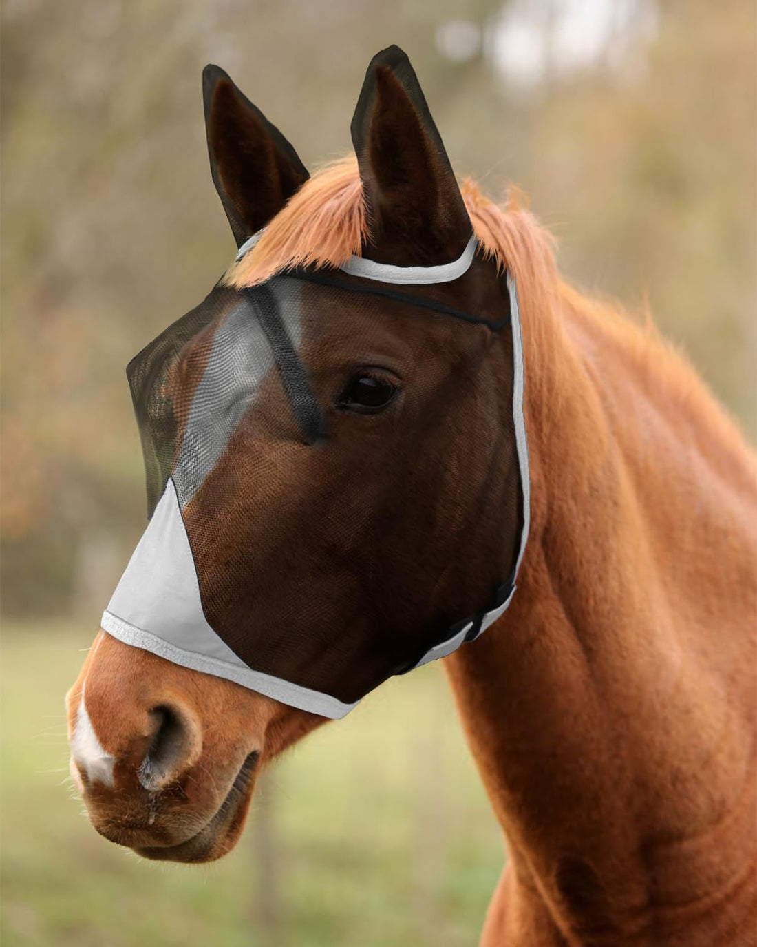 Hilltown Fly Mask for Horse with Ears