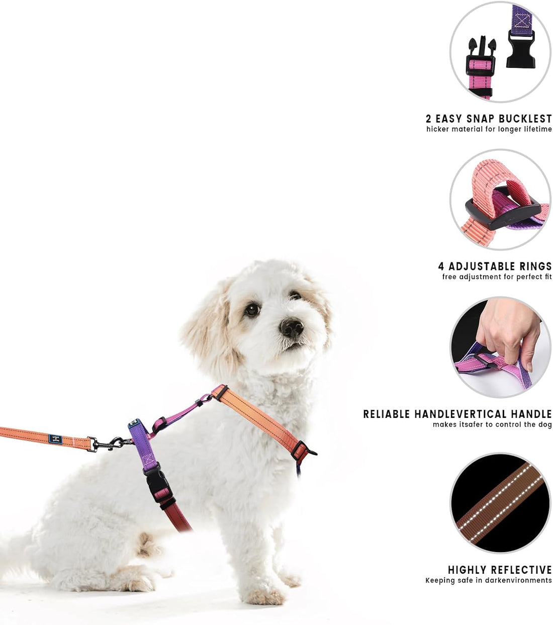 Roses&Poetry Small Dog Harness and Leash Set