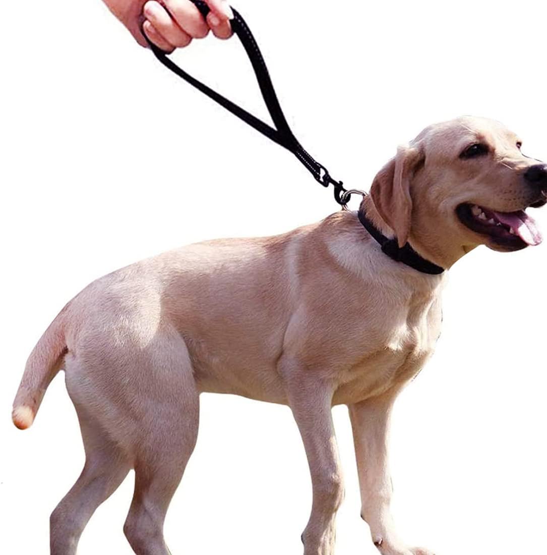 Short Dog Leash for Training,Heavy Duty Traffic Leashes for Safety