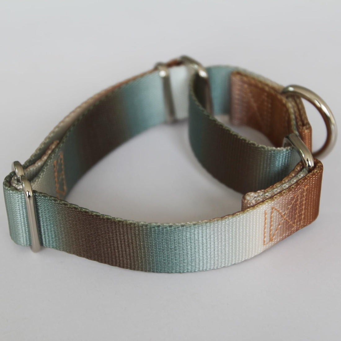 Martingale Dog Collar Colorful Gradient Fashionable