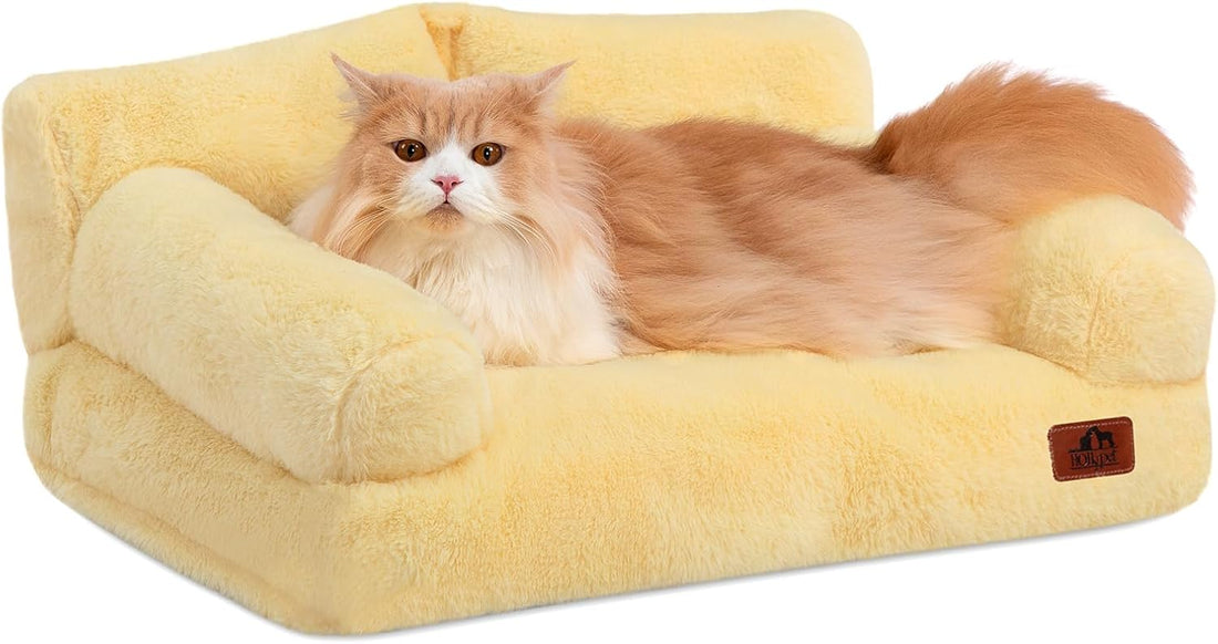 Hollypet Small Dog Large Cat Bed Puppy Couch Beds for Pets up to 25