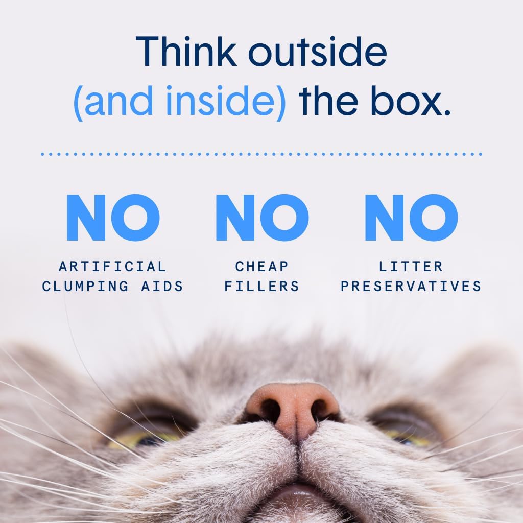 Boxie Unscented 30 Day Odor Control Clumping Clay Cat & Kitty Litter