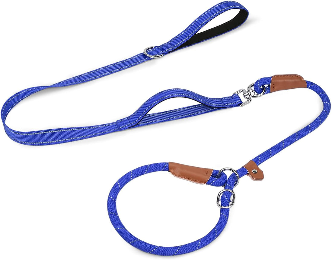 Joytale Slip Lead Dog Leash with Dual Handle, No Pull, Black