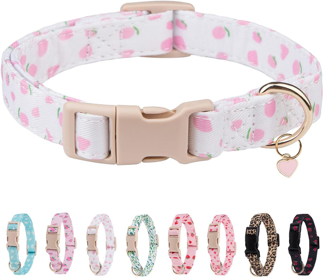 Dog Collar for Small, Medium & Large Dogs(PinkHeart,S)