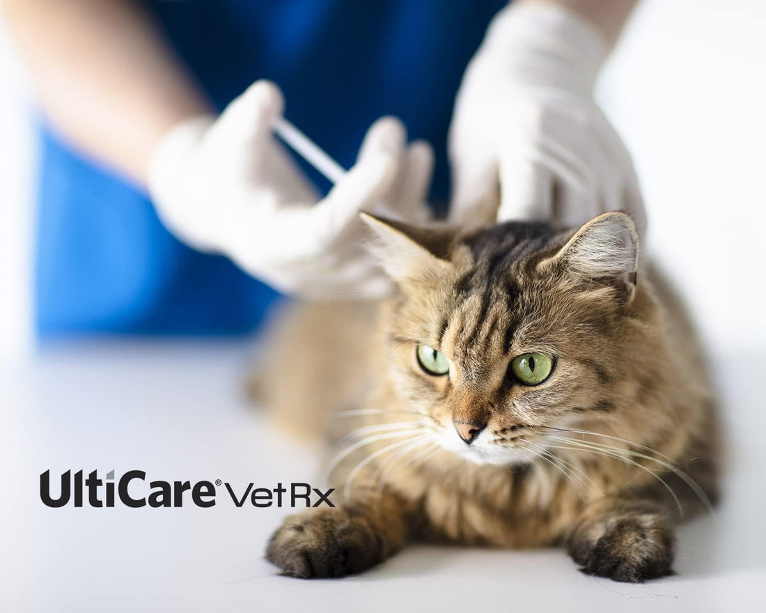 UltiCare VetRx U-40 3/10cc Pet Insulin Syringes - 3/10cc, 29G x 1/2’’