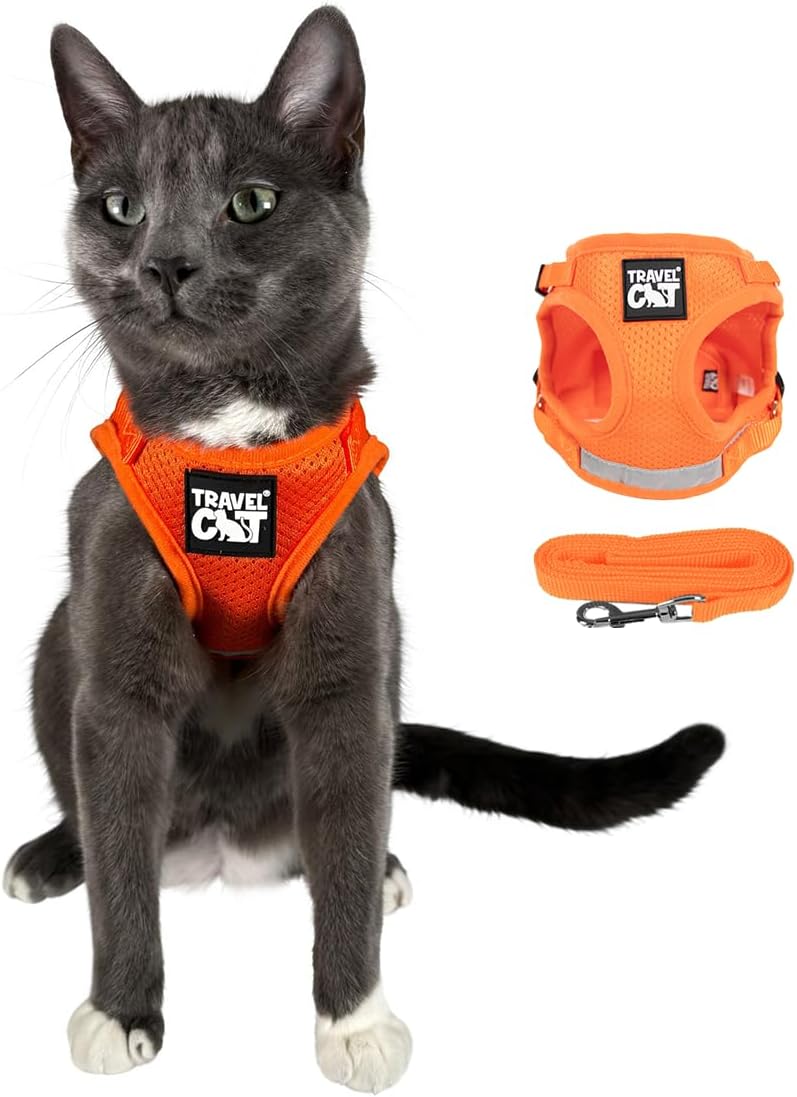 Travel Cat Harness and Leash Set