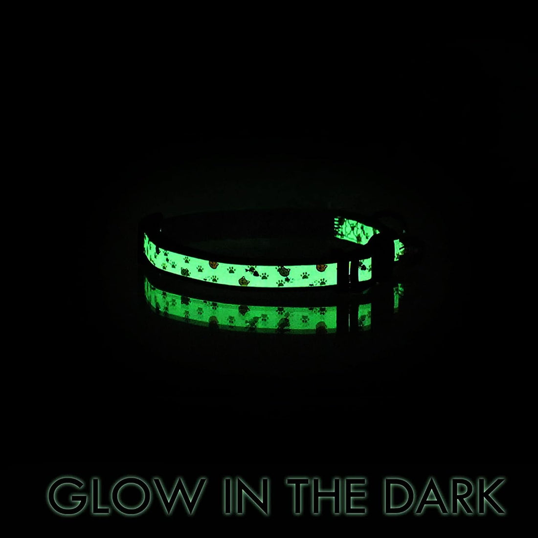 Pawtitas Glow in the Dark Cat Collar with Breakaway Safety Buckle