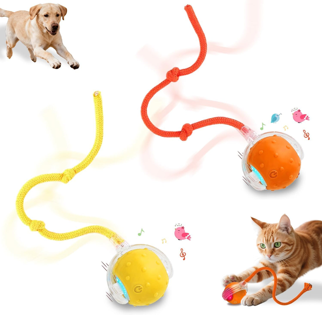 Interactive Cat Toys Smart Ball for Cats & Dogs! Now with 2 Rapid