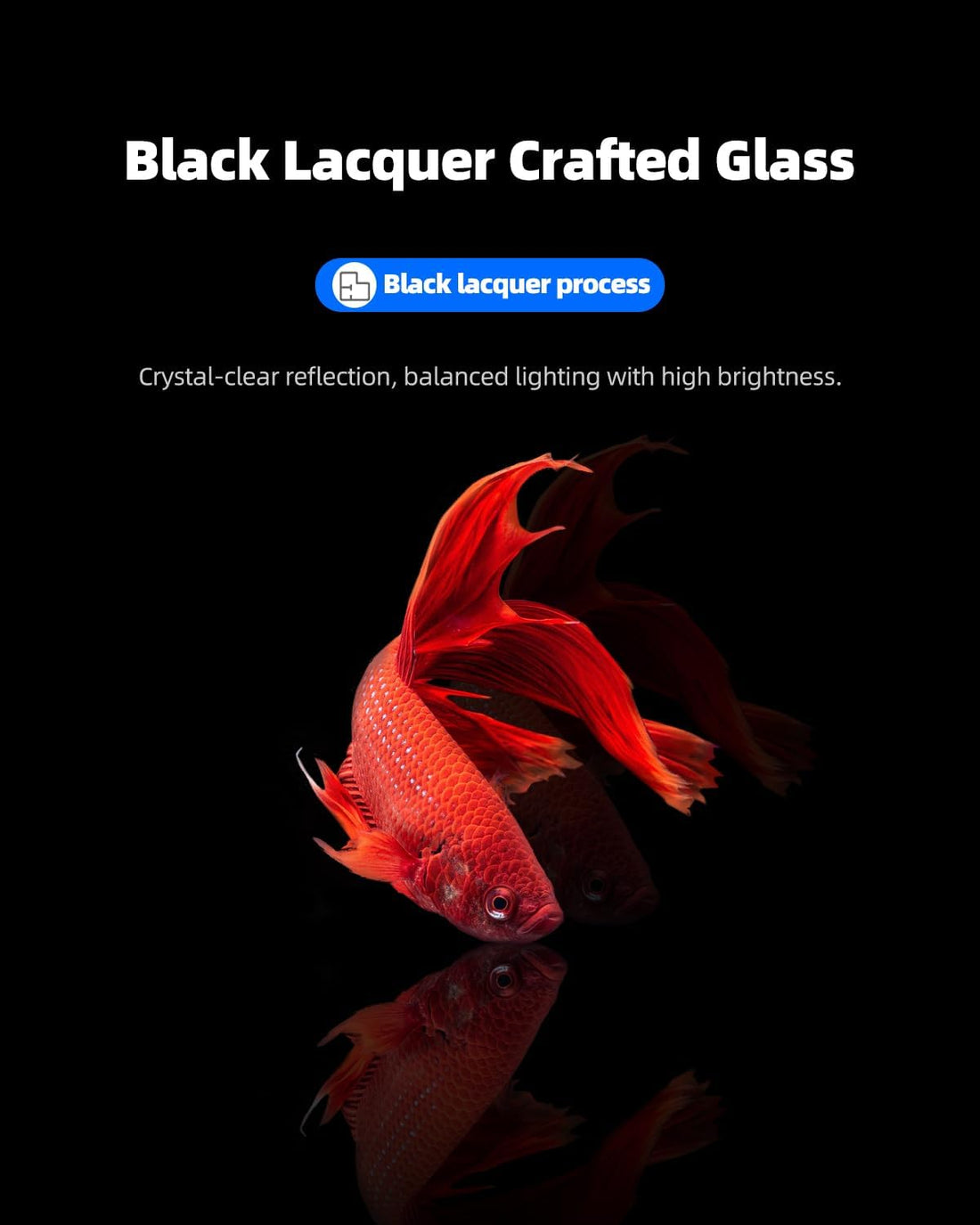 2.5 Gallon Nano Glass Fish Tank, Ultra-Clear Rimless Desktop Aquarium