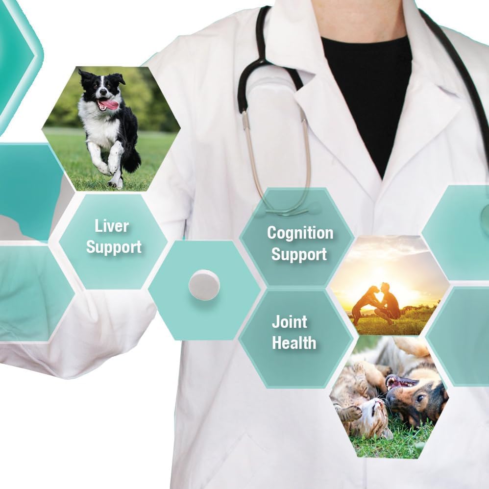Denestra Same for Dogs – S-Adenosyl-L-Methionine – Liver