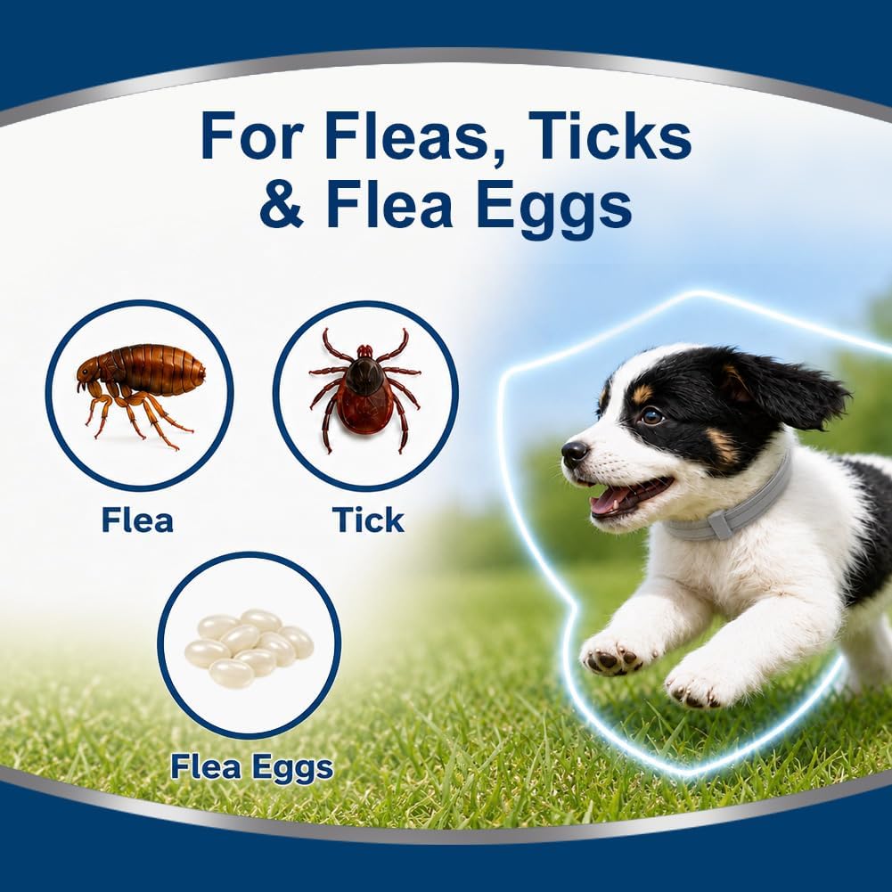 Flea Collar for Dogs Small, Flea & Tick Collar for Small Dogs 4 Pack