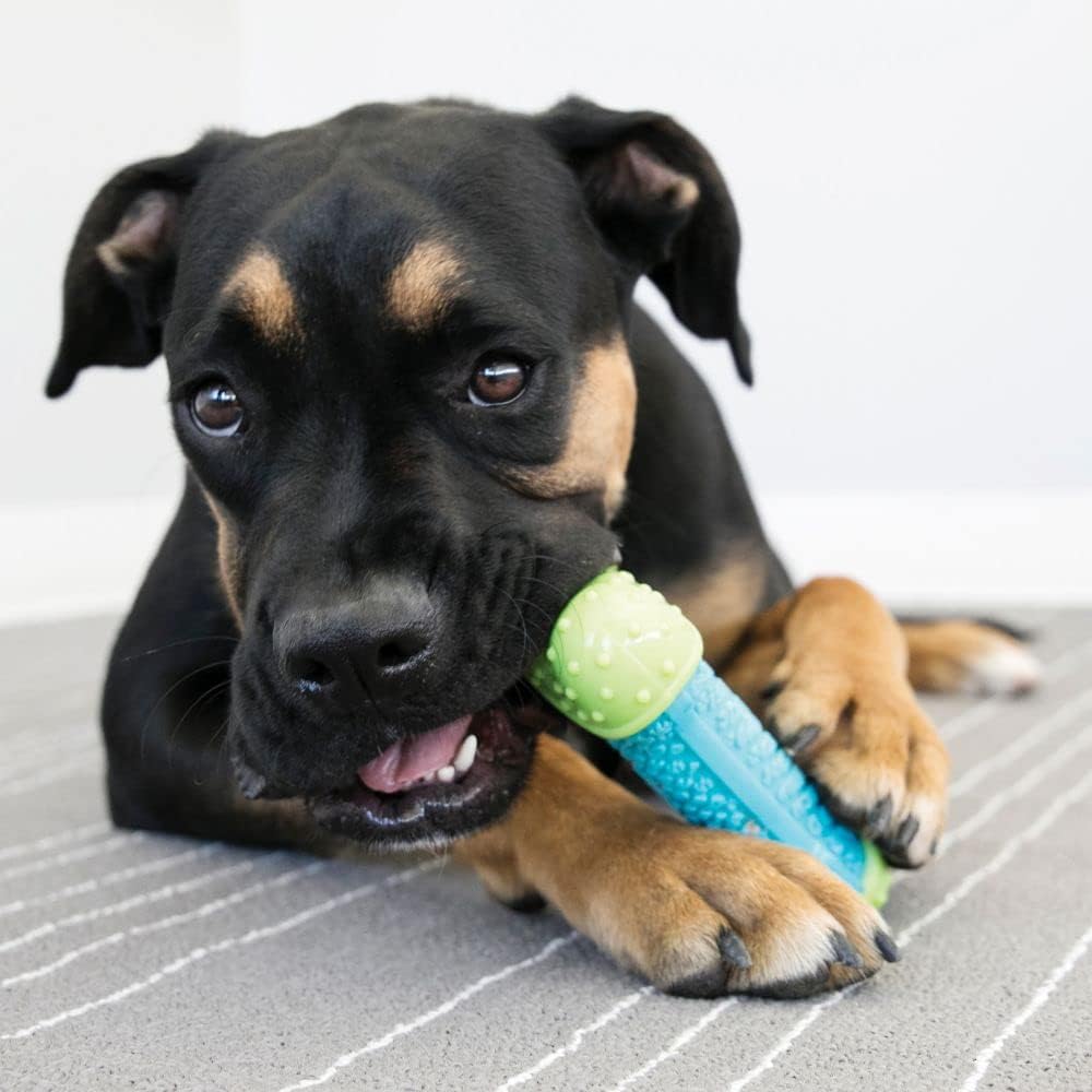 KONG CoreStrength Bone, Multi-Layered Dental Toy