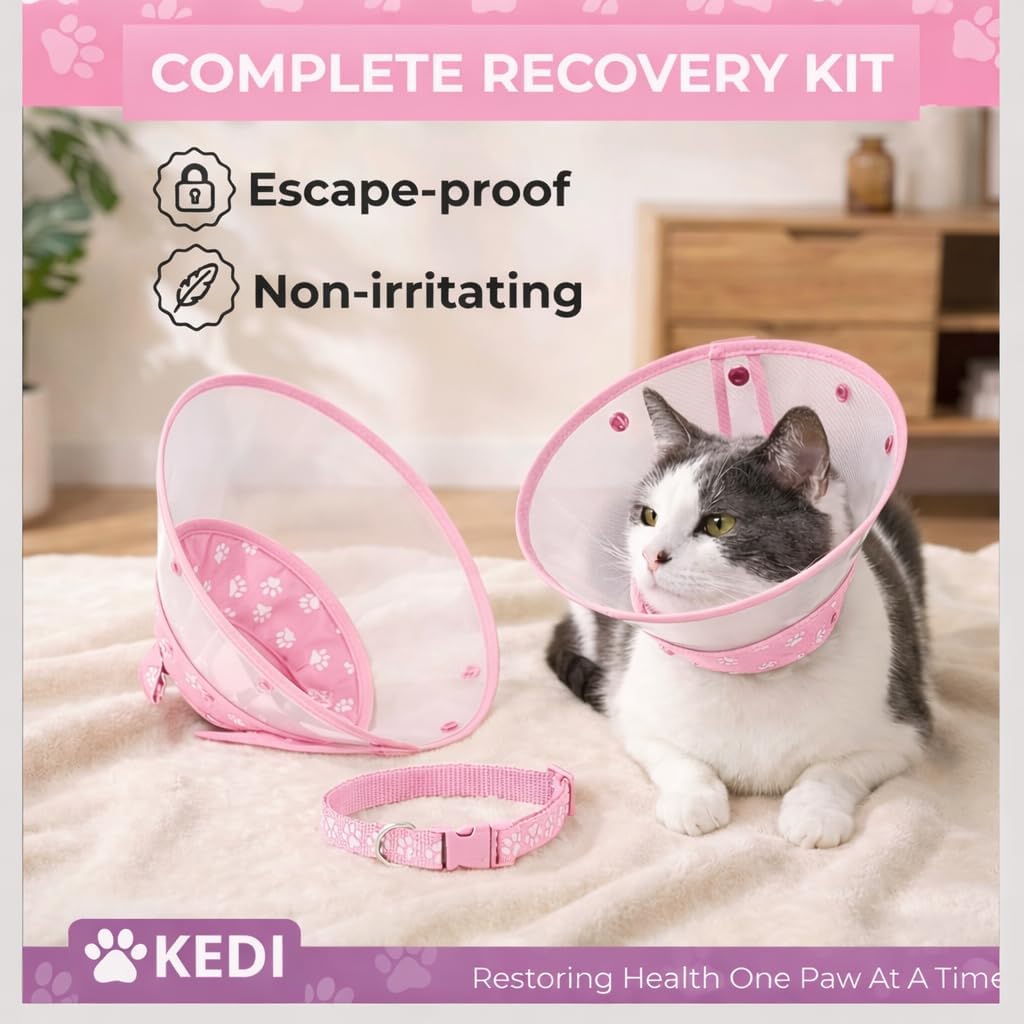 Cat Cone Collar After Surgery to Stop Licking, Escape-Proof