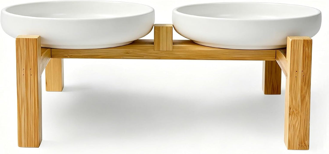 Ceramic Cat Bowls,Shallow Cat Dishes for Food and Water