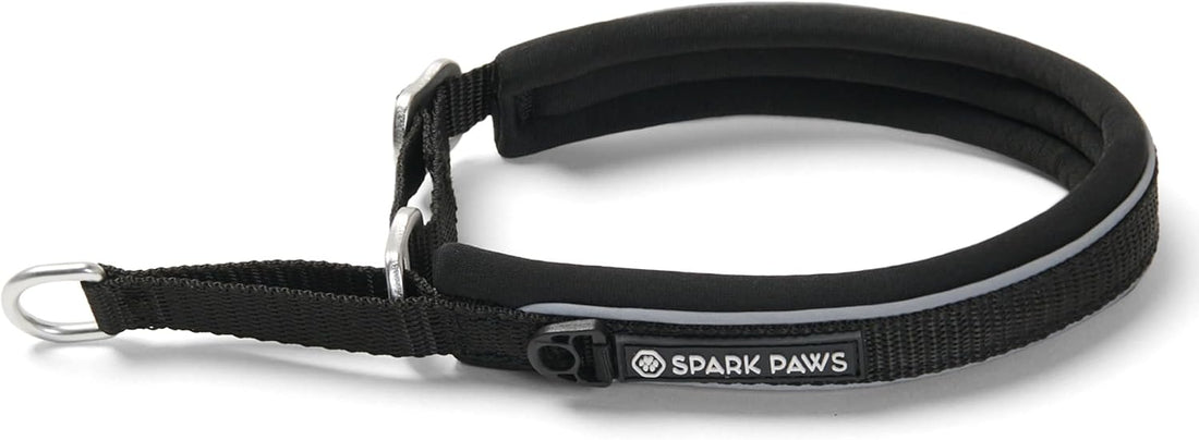 Spark Paws Martingale Dog Collar – Cushioned Slip-On Training Collar