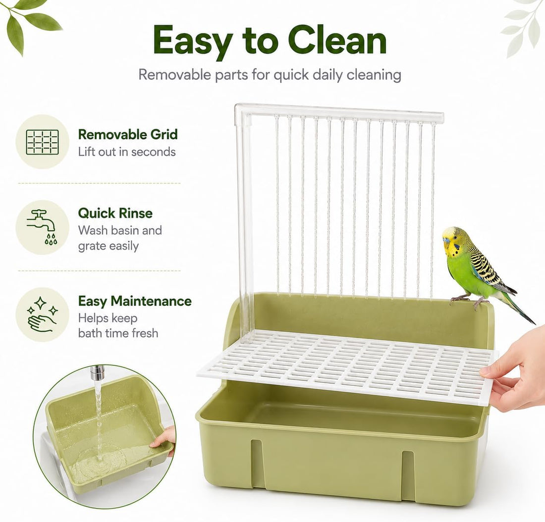 Automatic Bird Bath with Pump