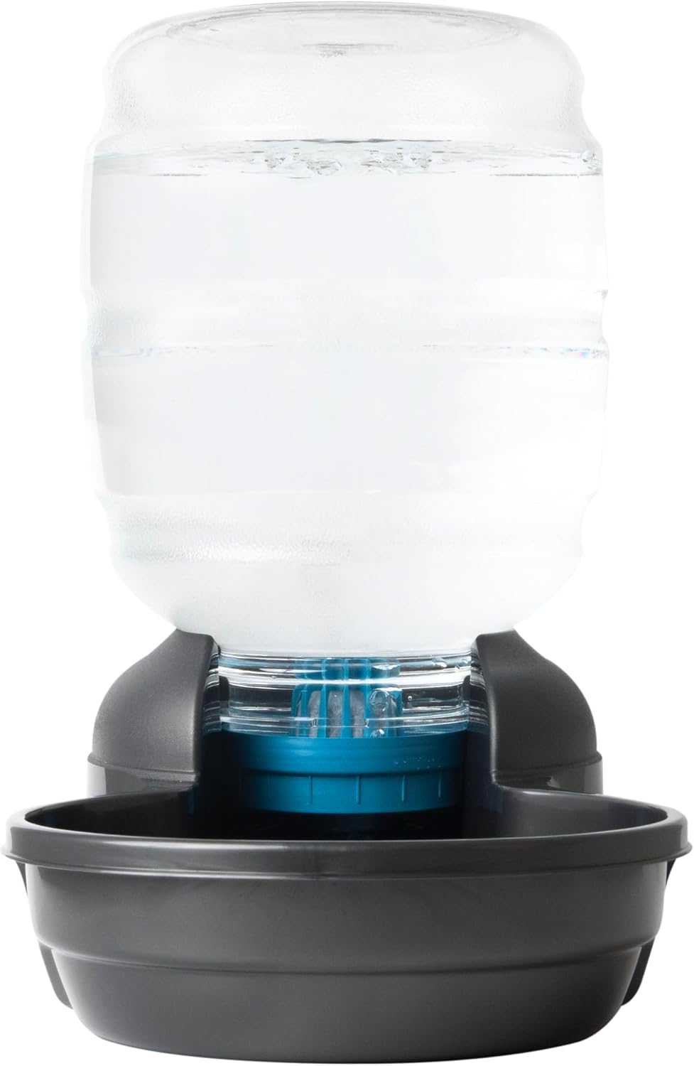 Petmate Replendish Automatic Dog Water Dispenser, 4 Gal, 2 Filters