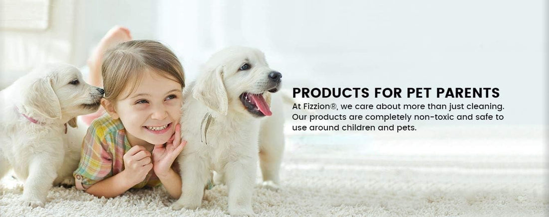 Fizzion Pet Stain and Odor Extra Strength Eliminator