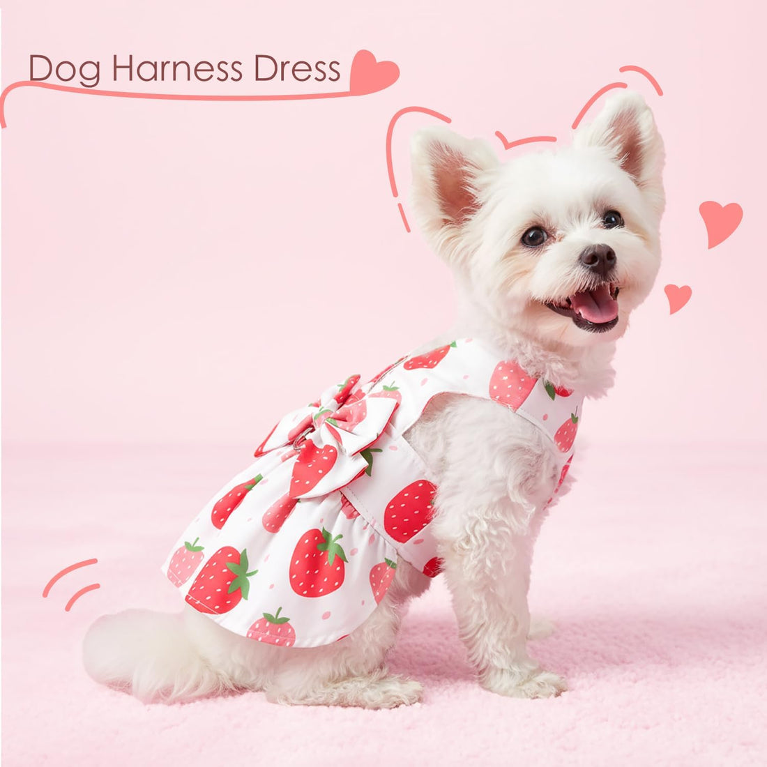 Dog Dress Harness Dresses Leash Set for Small Dogs Cute Girl Dog
