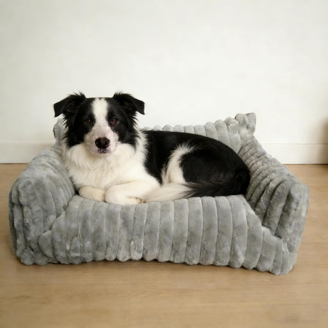 Cat Couch for Pets - Cute Cat Beds for Indoor Cats with Removable